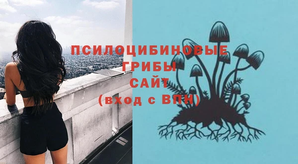 дмт Арсеньев